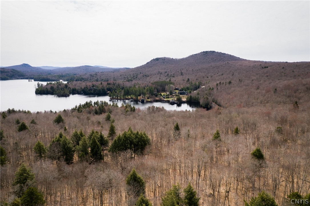 0 Warren Point Road Tupper Lake, NY 12986 - Photo 9 of 15