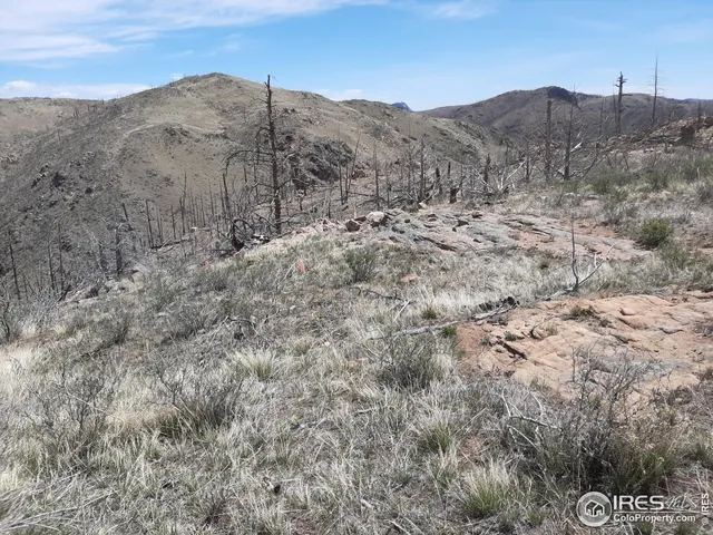 $69,500 | 1360 Meadow Mountain Drive, Livermore, CO 80536