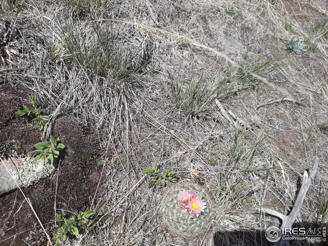 $69,500 | 1360 Meadow Mountain Drive, Livermore, CO 80536