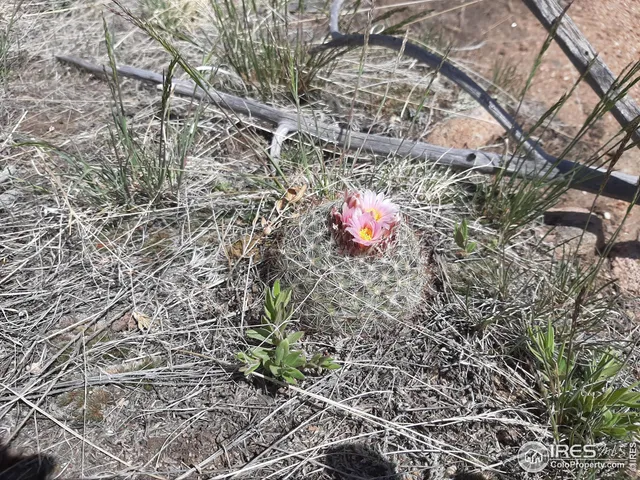 $69,500 | 1360 Meadow Mountain Drive, Livermore, CO 80536