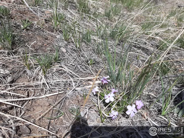 $69,500 | 1360 Meadow Mountain Drive, Livermore, CO 80536