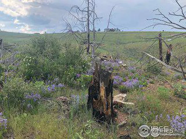 $69,500 | 1360 Meadow Mountain Drive, Livermore, CO 80536