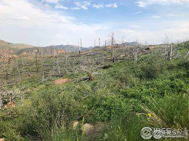 $69,500 | 1360 Meadow Mountain Drive, Livermore, CO 80536