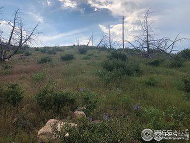 $69,500 | 1360 Meadow Mountain Drive, Livermore, CO 80536