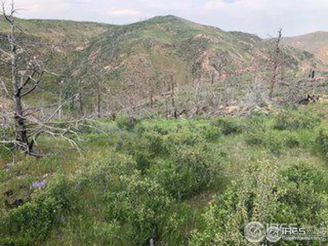 $69,500 | 1360 Meadow Mountain Drive, Livermore, CO 80536