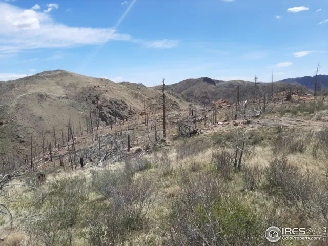 $69,500 | 1360 Meadow Mountain Drive, Livermore, CO 80536