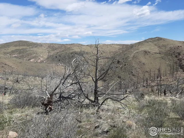 $69,500 | 1360 Meadow Mountain Drive, Livermore, CO 80536