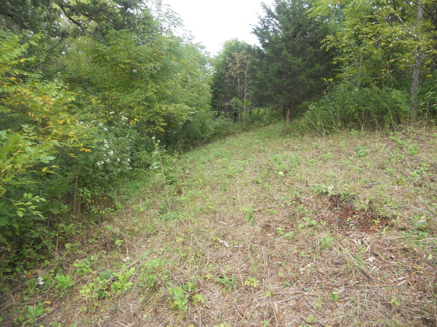 5 General Cable Road Lawrenceburg, KY 40342 - Photo 8 of 13 Photo 9