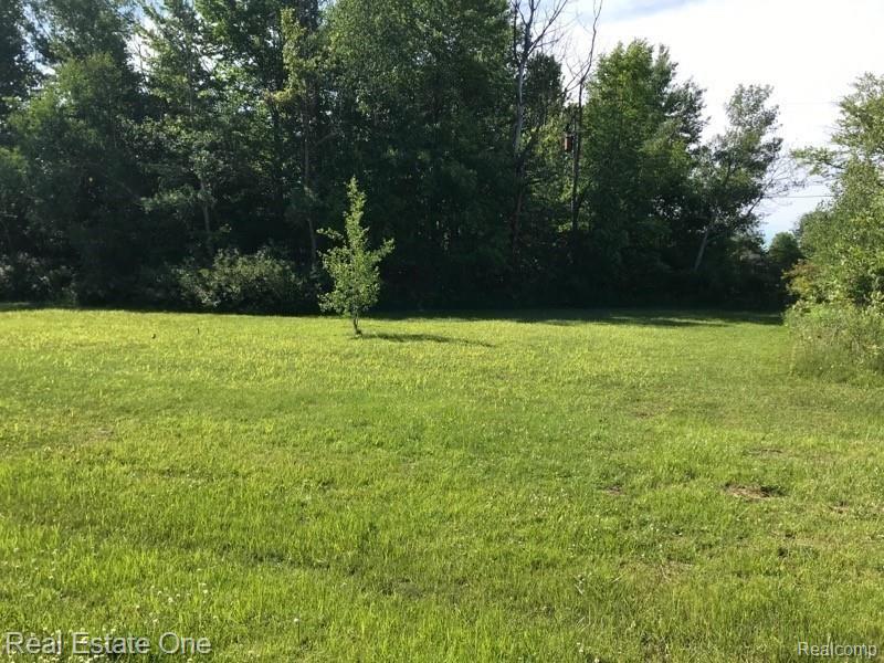 0 Birchtree Road Lexington, MI 48450 - Photo 2 of 19