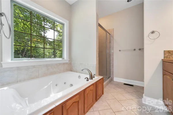 a bathroom with a bathtub and a shower