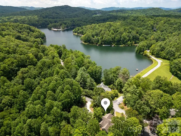 a view of a bunch of trees and bushes