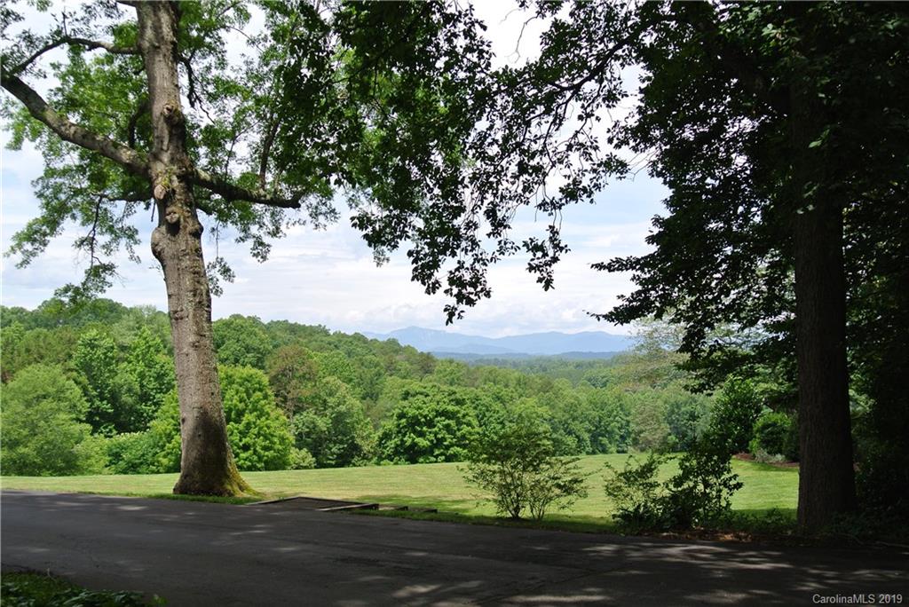 208 Pellyn Wood Road Rutherfordton, NC 28139 - Photo 16 of 18 a view of a garden with trees