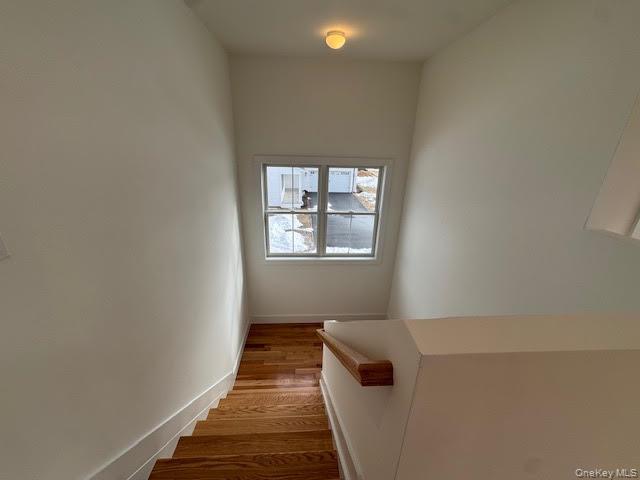 11 Colonels Path Manorville, NY 11949 - Photo 29 of 49 abundance of natural light filter through the many windows