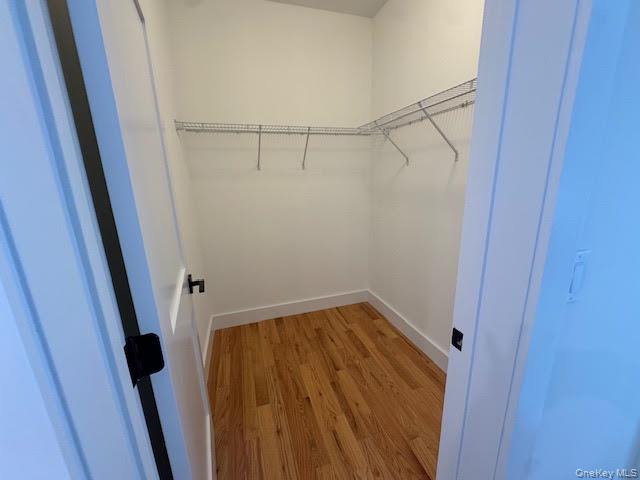 11 Colonels Path Manorville, NY 11949 - Photo 8 of 49 primary closet 1