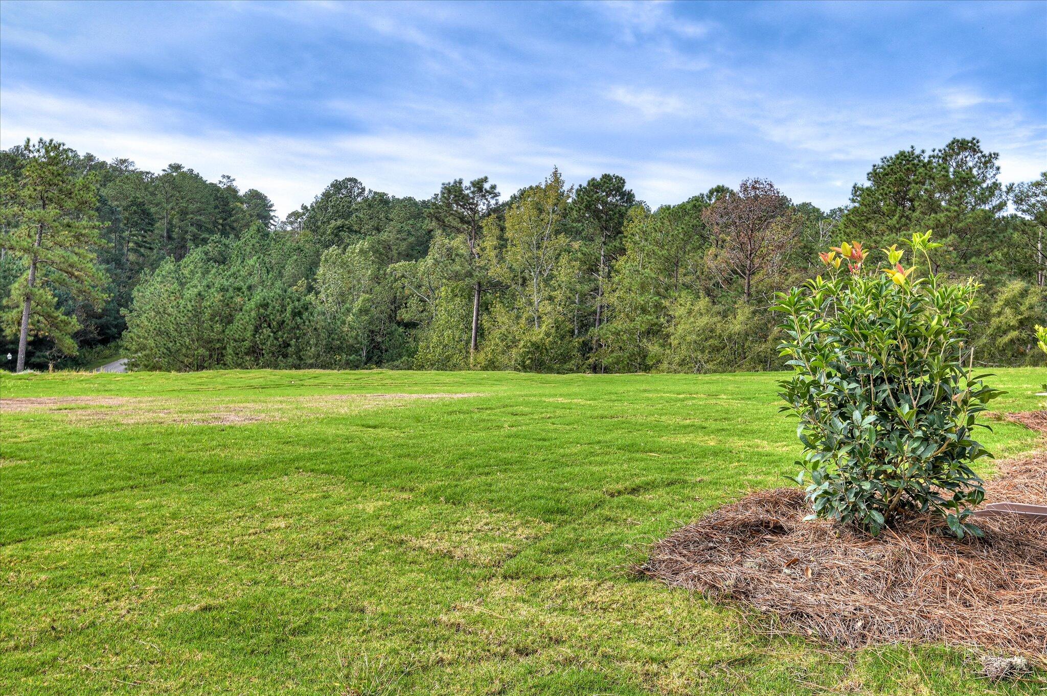 188 Colin Reed's Road North Augusta, SC 29860 - Photo 58 of 67 yard