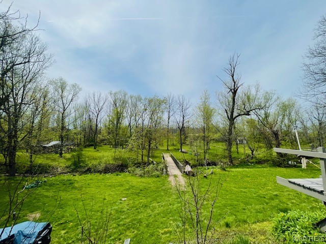 3738 Ridge Road Cambria, NY 14094 - Photo 39 of 46