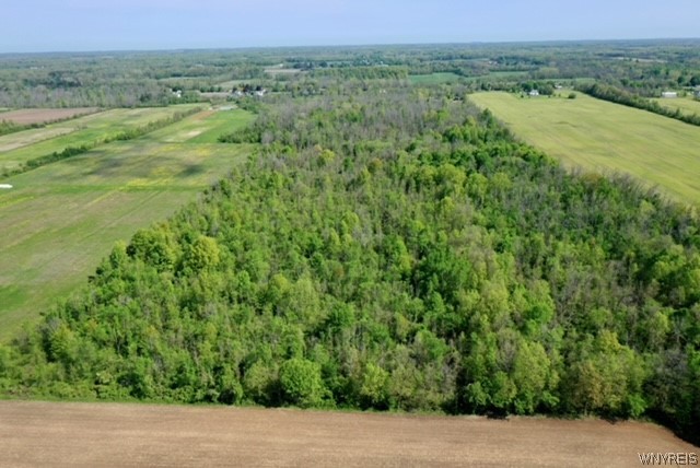 3738 Ridge Road Cambria, NY 14094 - Photo 44 of 46