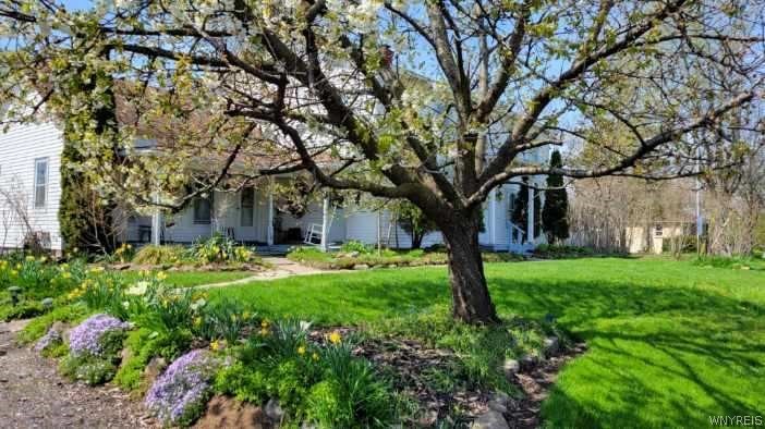 3738 Ridge Road Cambria, NY 14094 - Photo 5 of 46