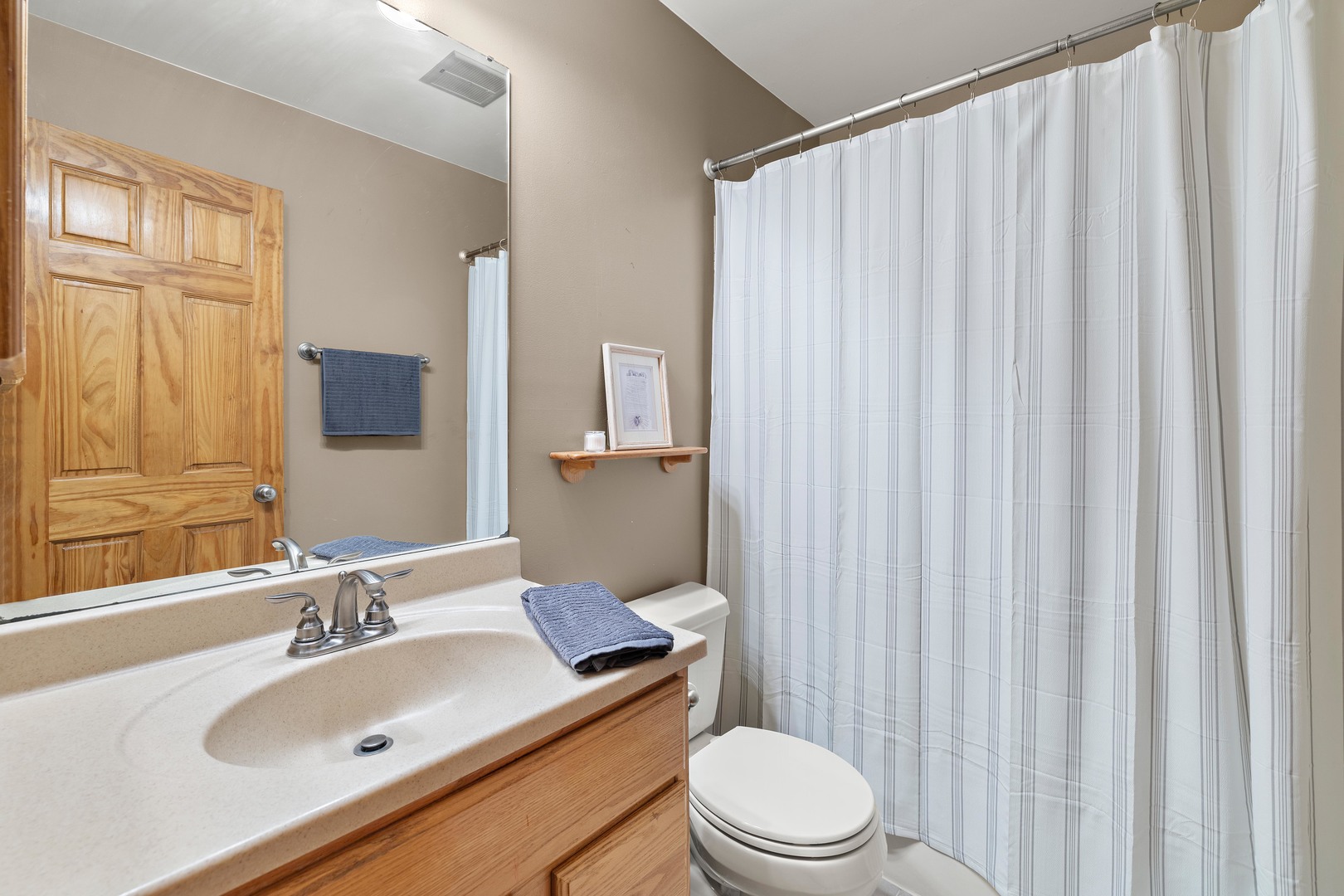 209 Monroe Road Bolingbrook, IL 60440 - Photo 15 of 20