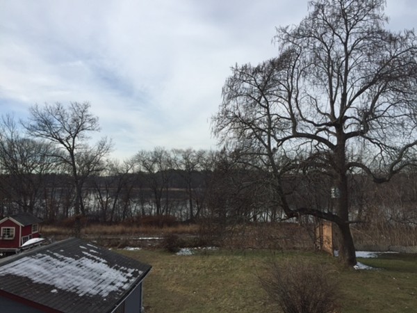 342 Franklin Street Framingham, MA 01702 - Photo 17 of 17 a view of a backyard with large trees