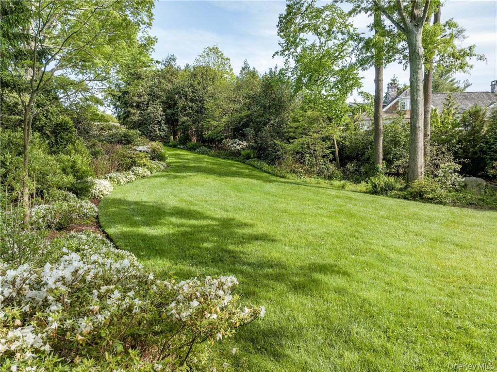 11 Sunset Lane Rye, NY 10580 - Photo 31 of 36 View looking at the back yard from the house