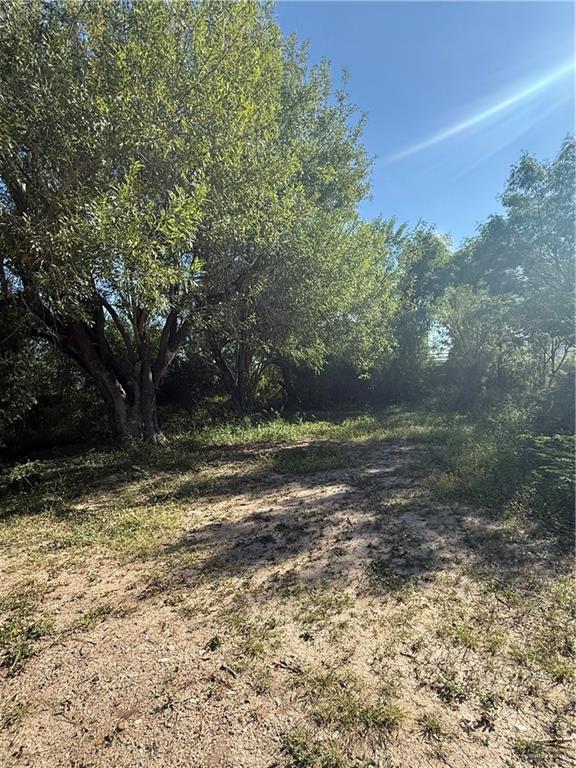 0 Quebec Street Mission, TX 78572 - Photo 2 of 2 a view of a yard with trees