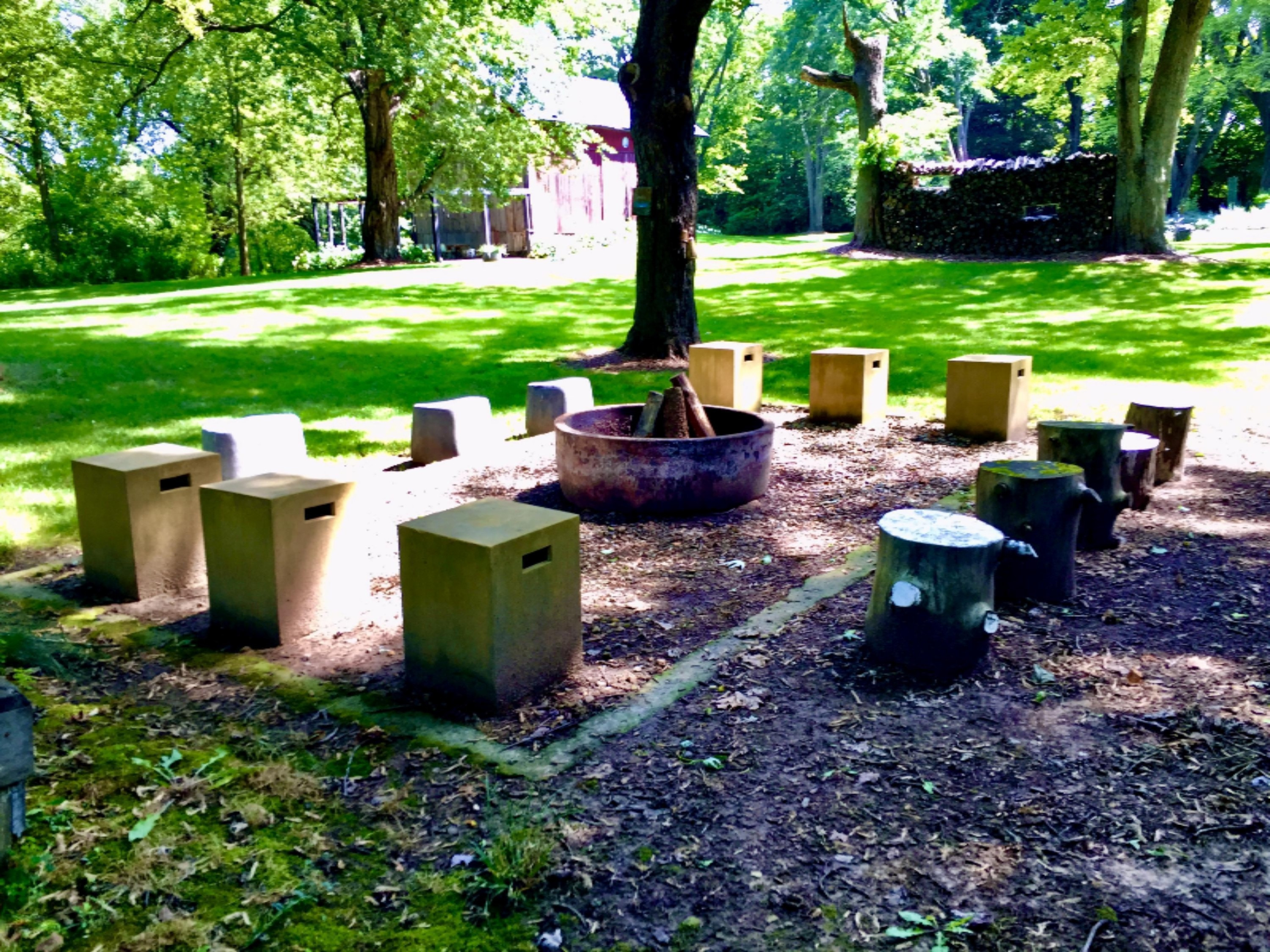 13868 Coveney Road Buchanan, MI 49107 - Photo 27 of 34 fire pit