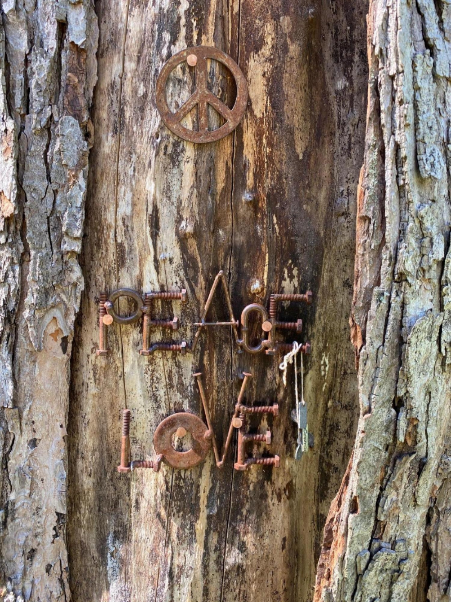 13868 Coveney Road Buchanan, MI 49107 - Photo 30 of 34 peace love