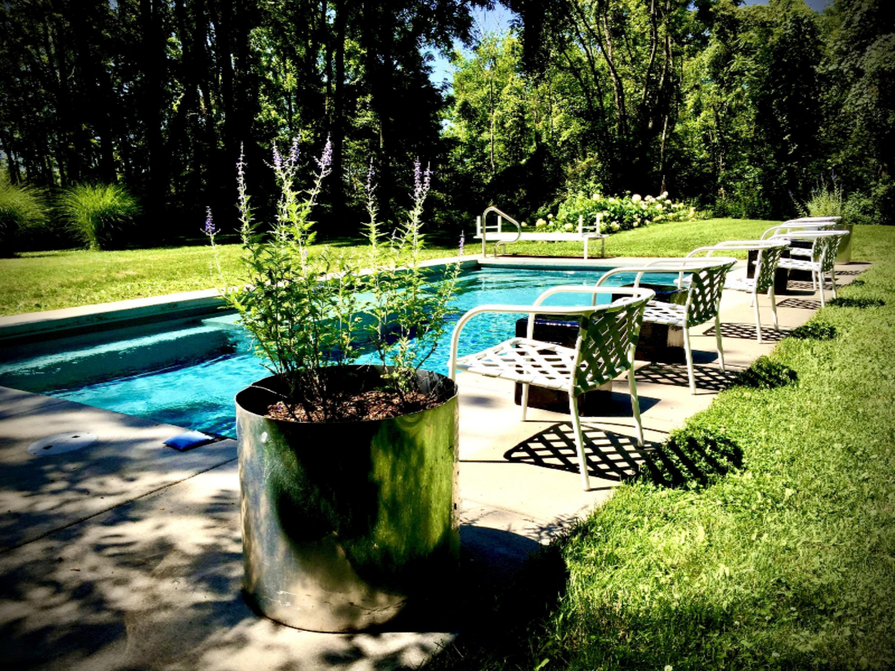 13868 Coveney Road Buchanan, MI 49107 - Photo 7 of 34 pool2