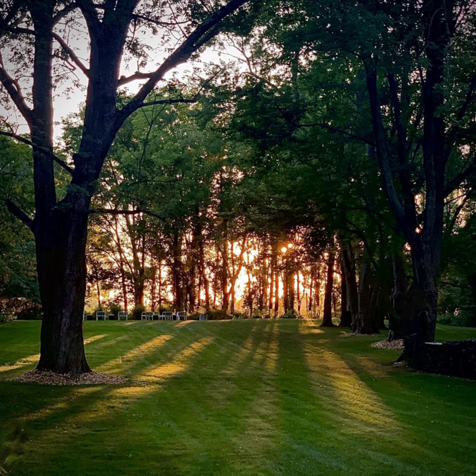 13868 Coveney Road Buchanan, MI 49107 - Photo 8 of 34 sunset over pool