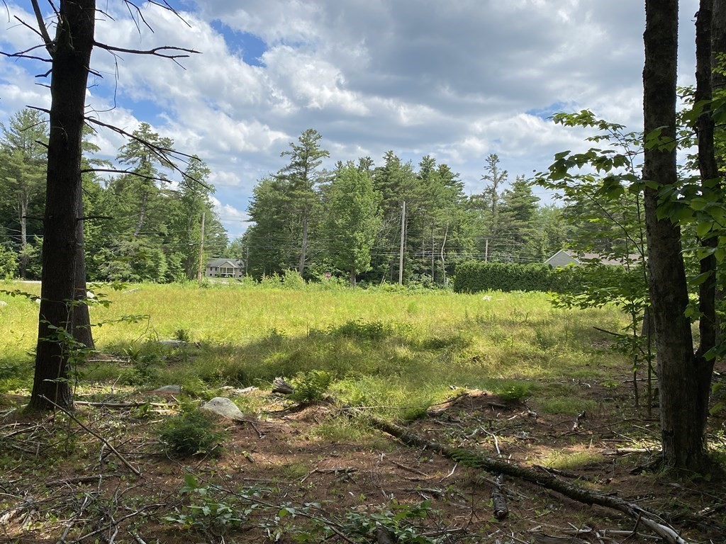a view of an outdoor space and a yard