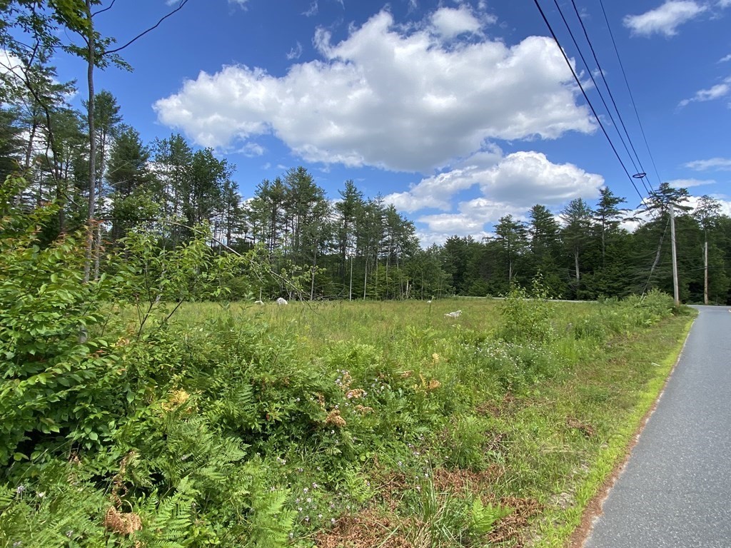 0 West Street-fuller Road Williamsburg, MA 01096 - Photo 4 of 8 a view of a garden