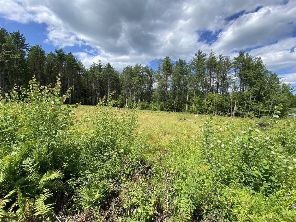 0 West Street-fuller Road Williamsburg, MA 01096 - Photo 5 of 8 a view of outdoor space with mountain view