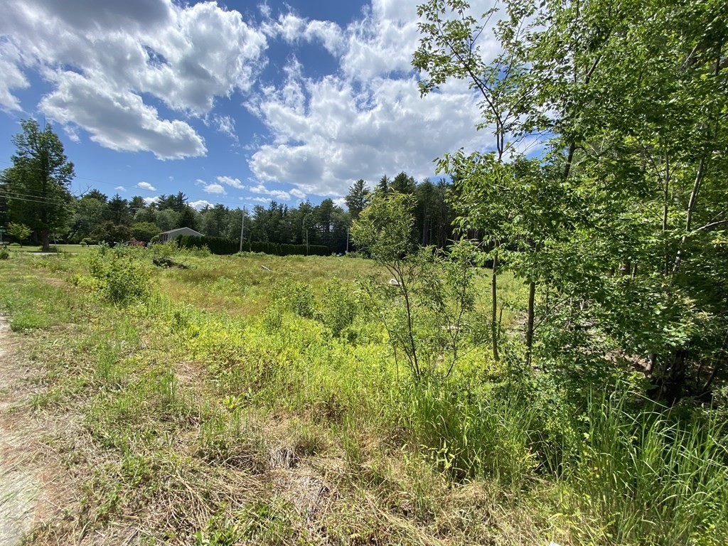 0 West Street-fuller Road Williamsburg, MA 01096 - Photo 6 of 8 a view of an outdoor space and a yard