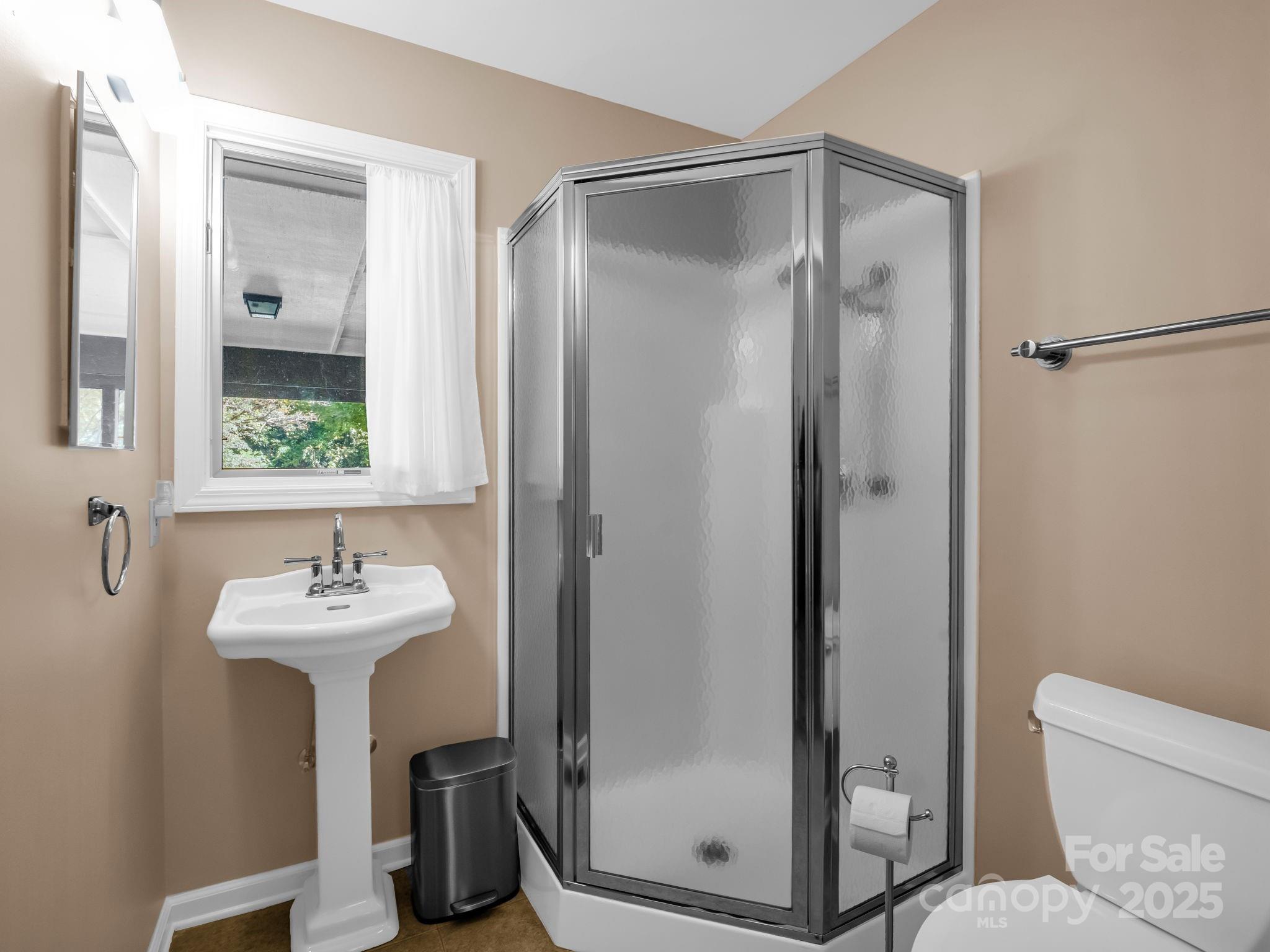 821 Warrior Drive Tryon, NC 28782 - Photo 24 of 44 a bathroom with a sink mirror toilet and shower