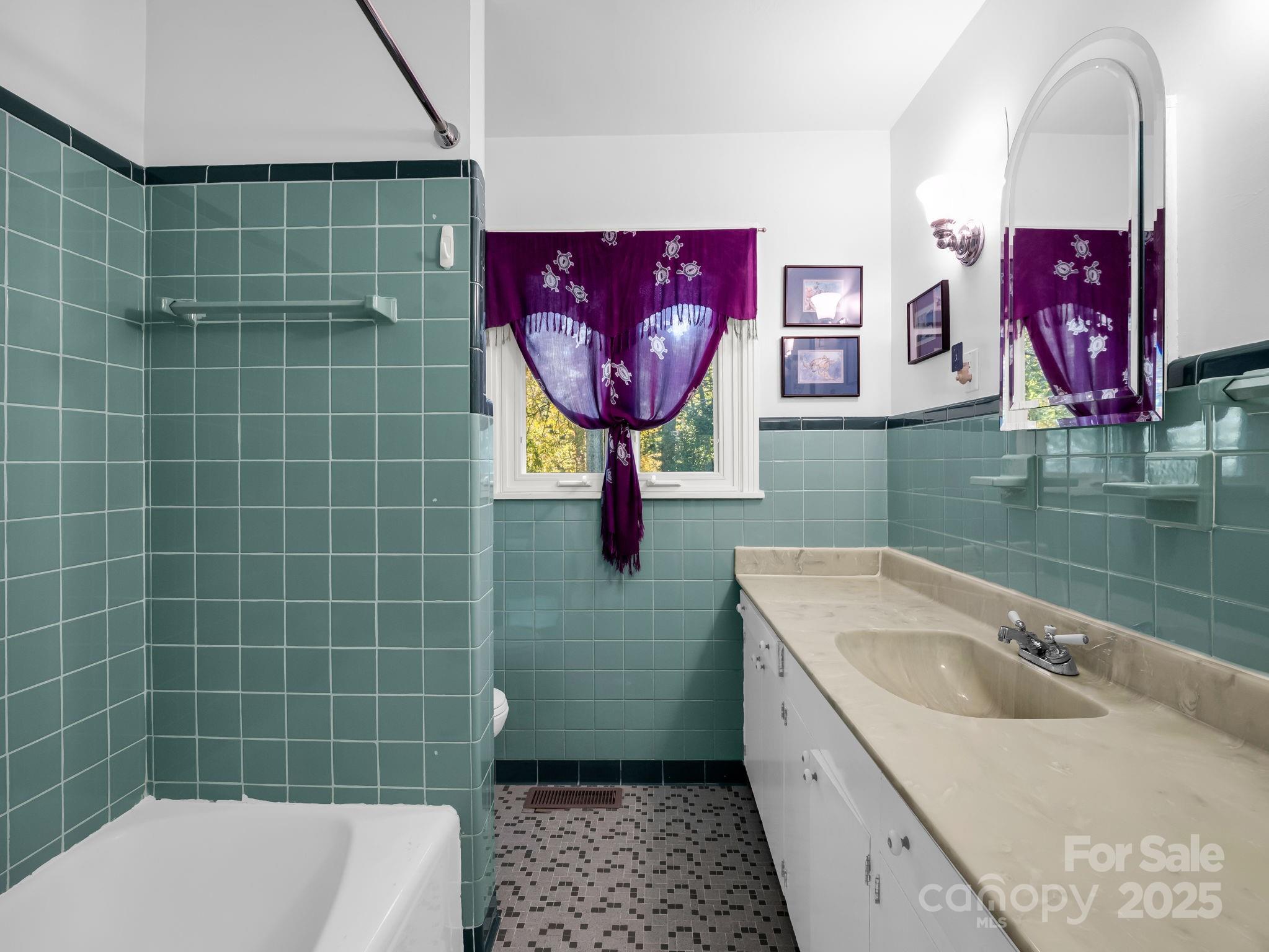 821 Warrior Drive Tryon, NC 28782 - Photo 31 of 44 a bathroom with a sink a toilet and mirror