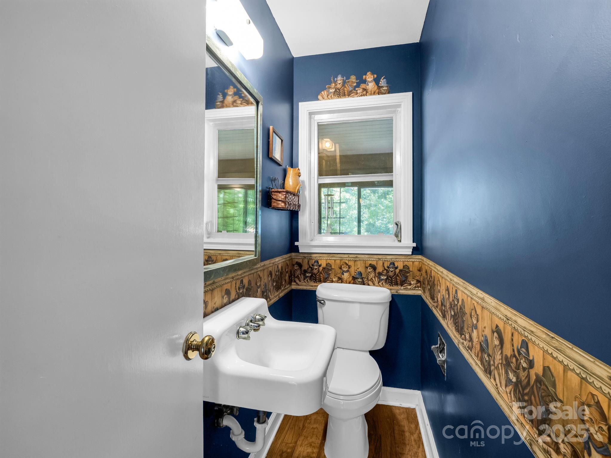 821 Warrior Drive Tryon, NC 28782 - Photo 34 of 44 a bathroom with a sink a toilet and a window