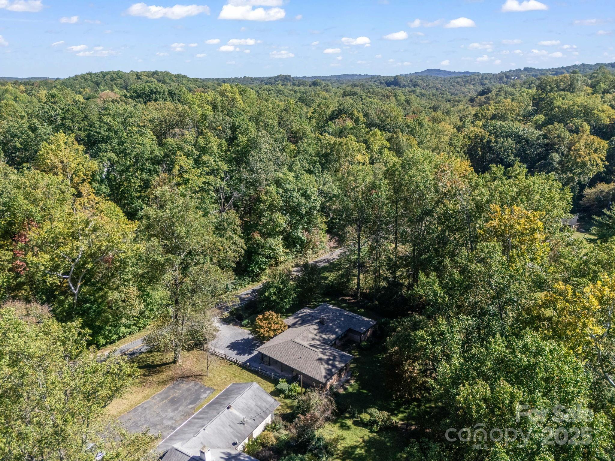 821 Warrior Drive Tryon, NC 28782 - Photo 42 of 44 an aerial view of a houses with a yard