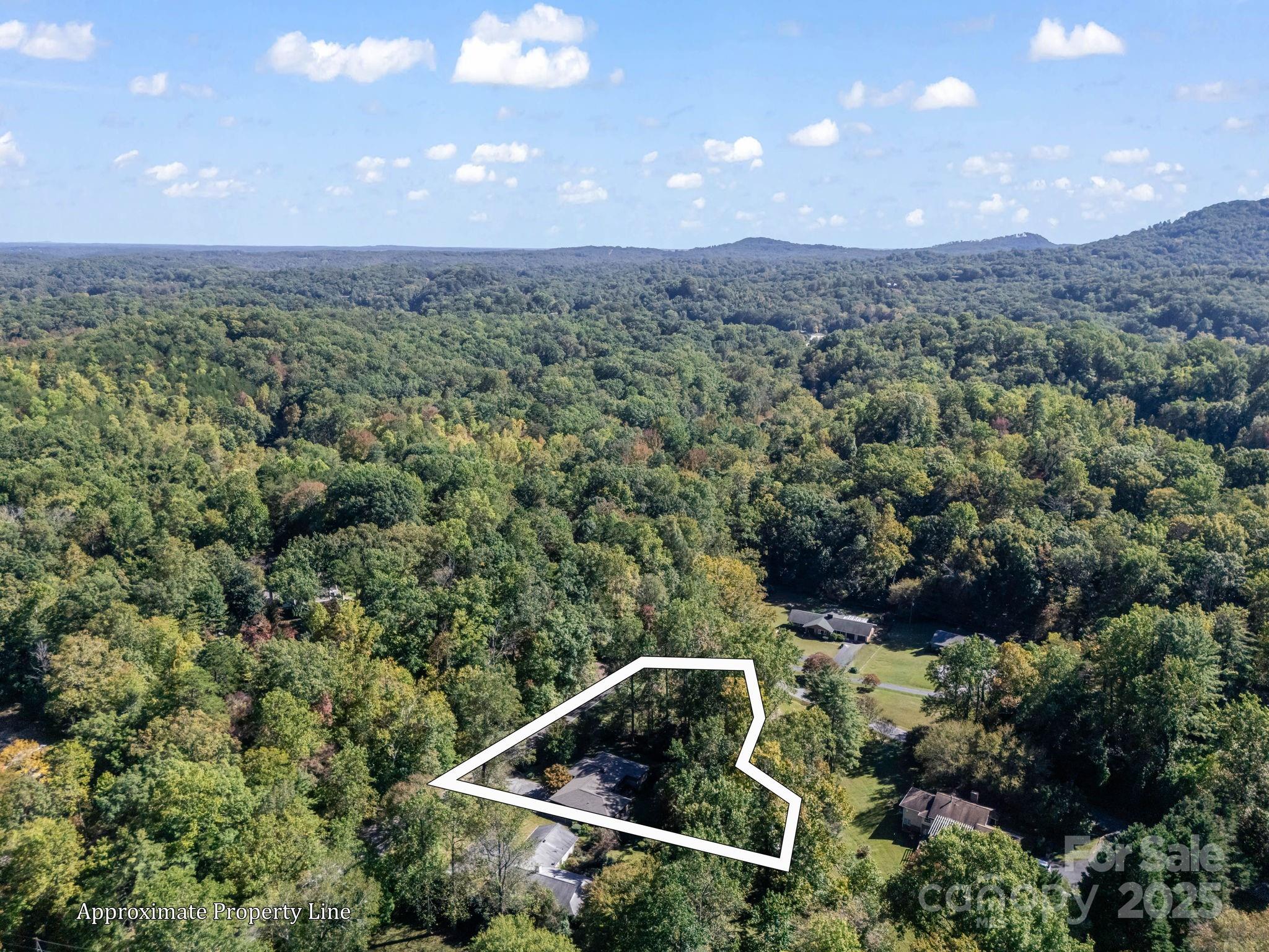 821 Warrior Drive Tryon, NC 28782 - Photo 43 of 44 an aerial view of house with yard and mountain view in back
