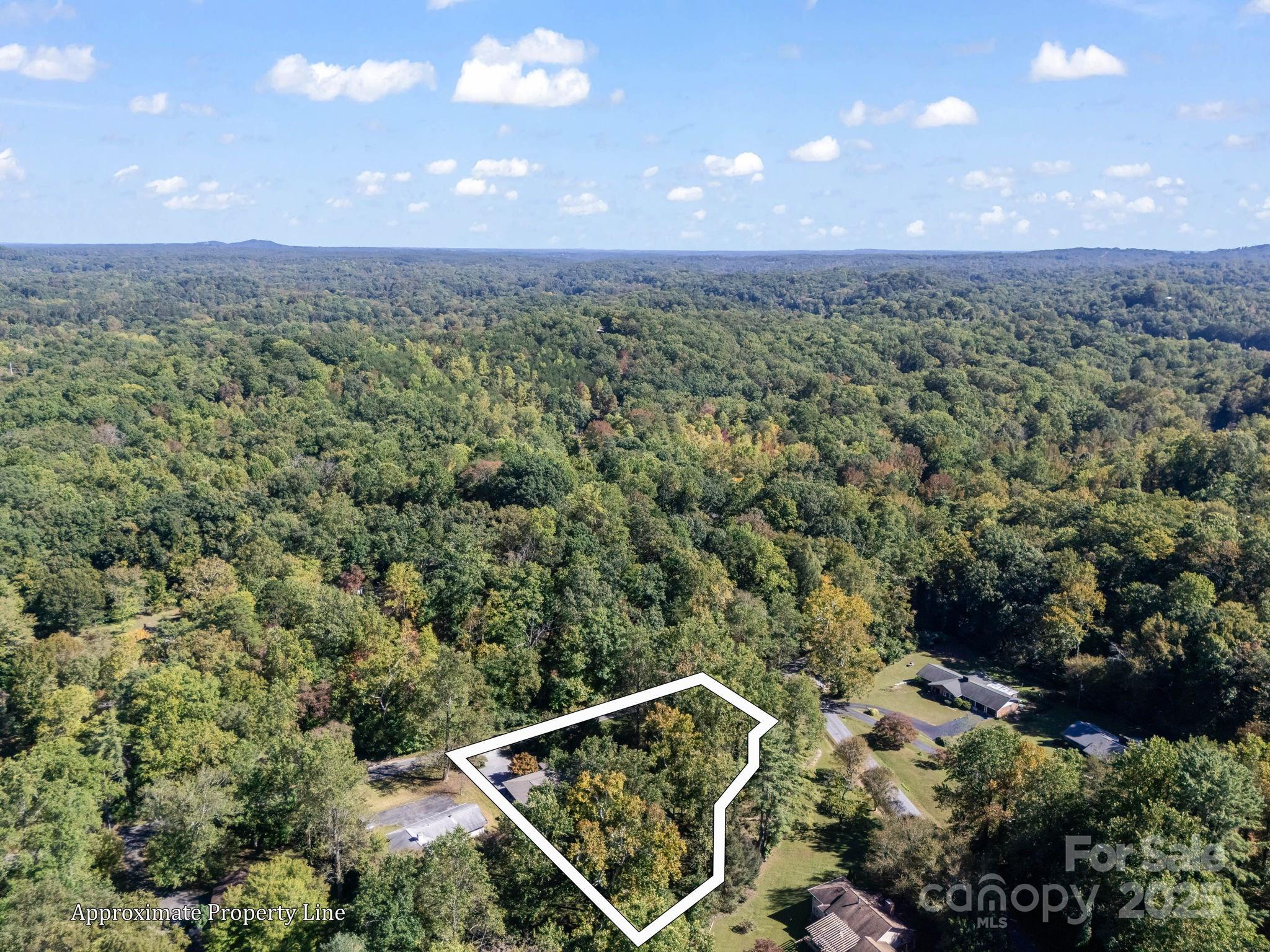 821 Warrior Drive Tryon, NC 28782 - Photo 44 of 44 a view of a green field