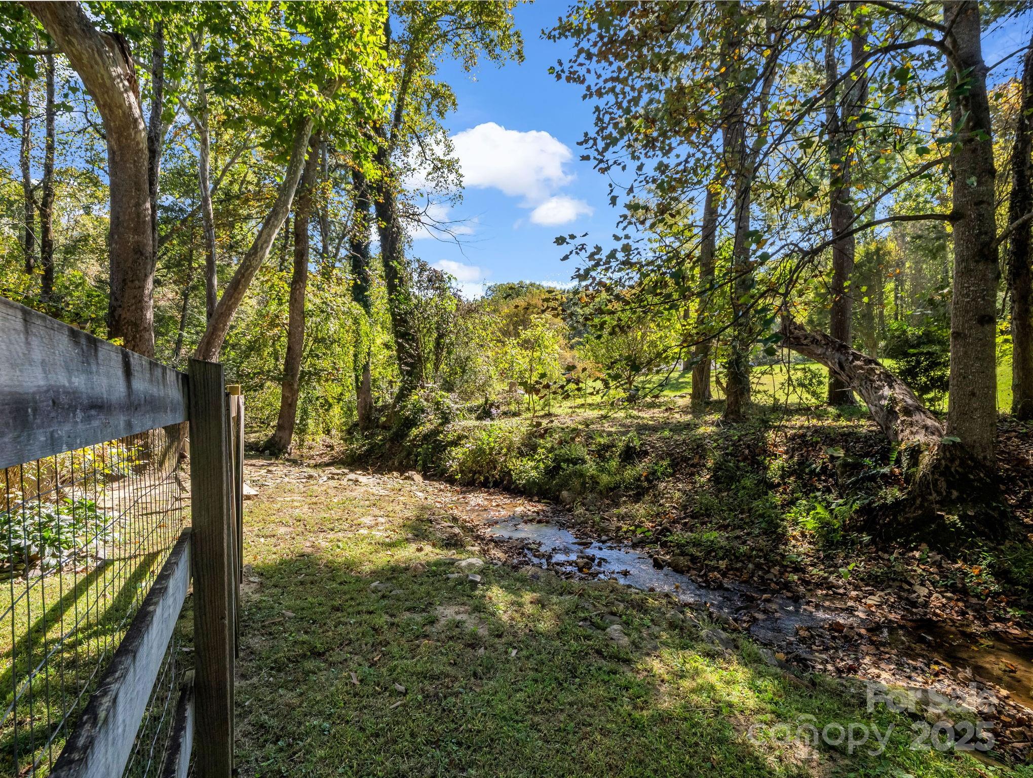 821 Warrior Drive Tryon, NC 28782 - Photo 7 of 44 a view of a yard with a tree