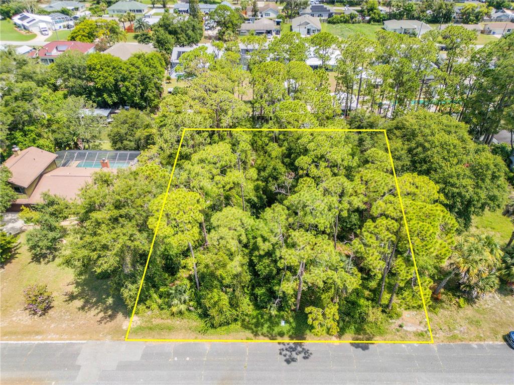 133 Hazelwood River Road Edgewater, FL 32141 - Photo 2 of 9 a view of a garden with plants