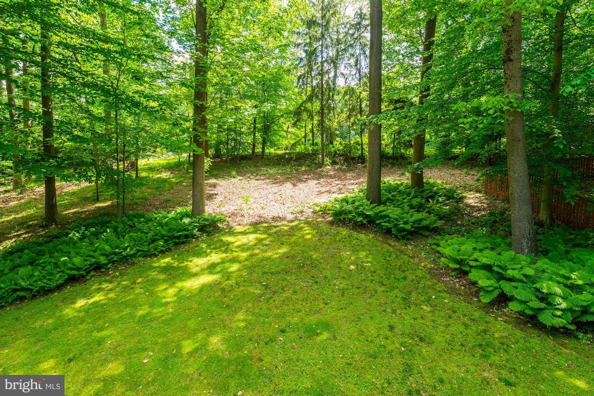7612 Hamilton Spring Road Bethesda, MD 20817 - Photo 44 of 47