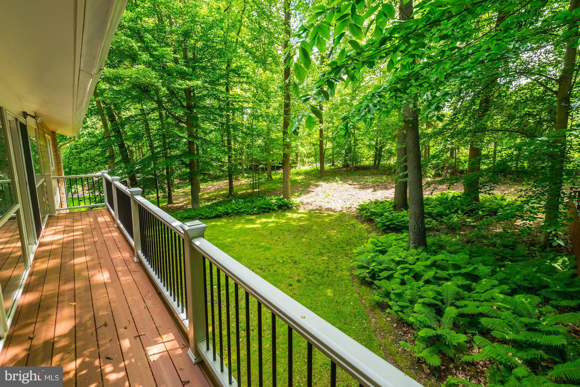 7612 Hamilton Spring Road Bethesda, MD 20817 - Photo 45 of 47