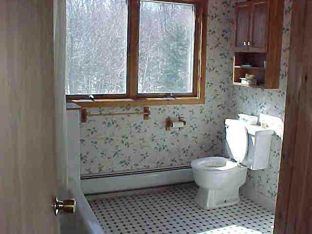 42 Curtin Road Peru, MA 01235 - Photo 4 of 6 a bathroom with a toilet and a shower curtain