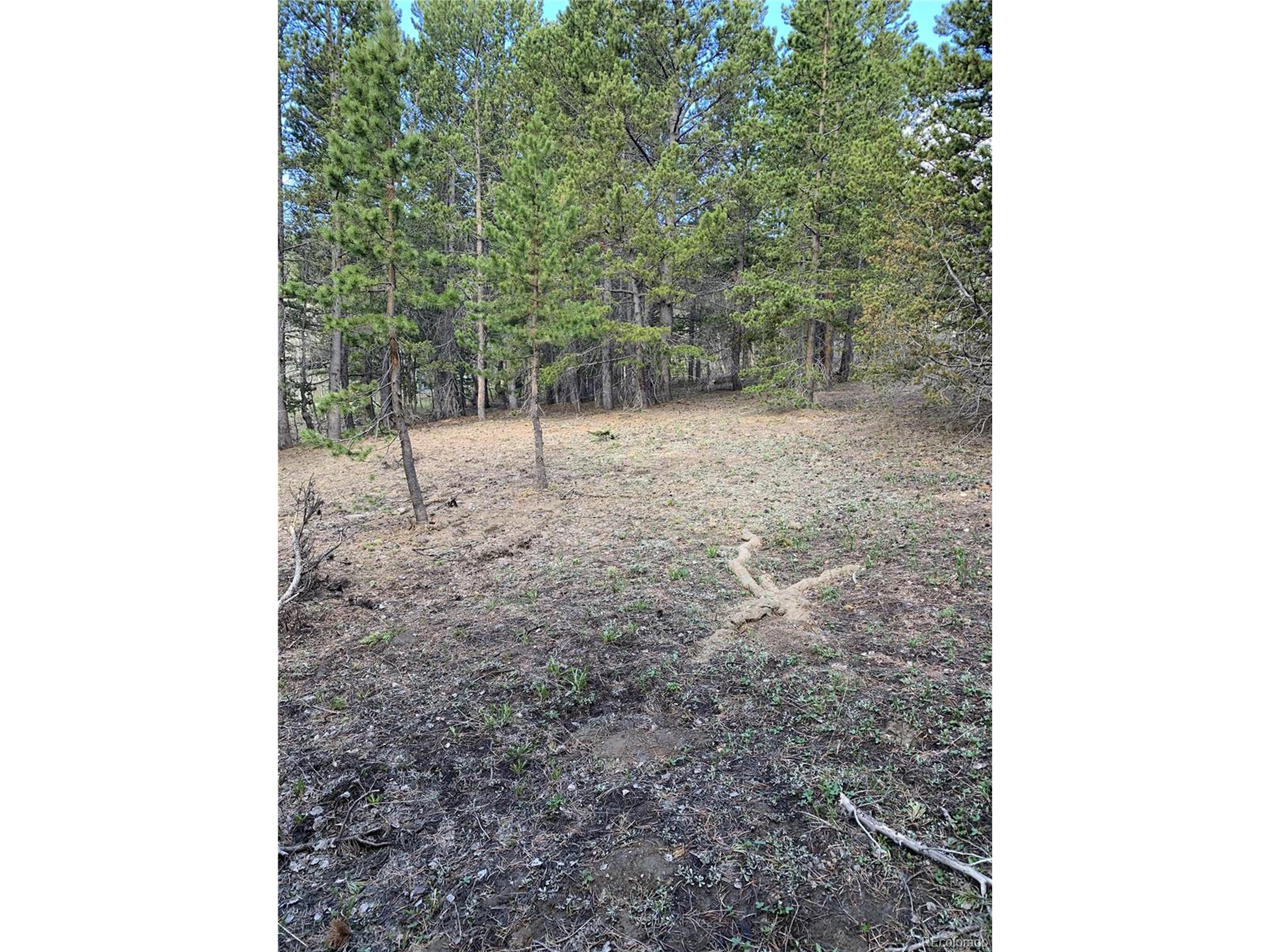 647 Alice Road Idaho Springs, CO 80452 - Photo 7 of 13 Gallery Image 7