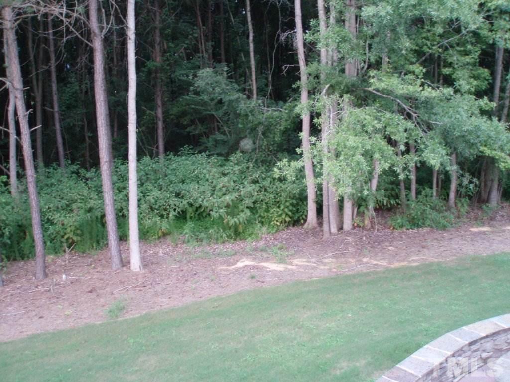 6108 Spring Branch Circle Raleigh, NC 27603 - Photo 20 of 20 a view of a backyard with large trees