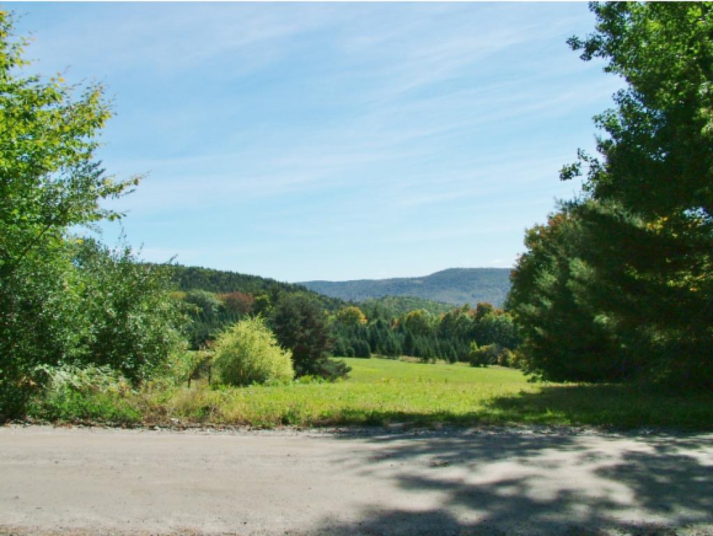331 Timson Hill Road Newfane, VT 05345 - Photo 20 of 30