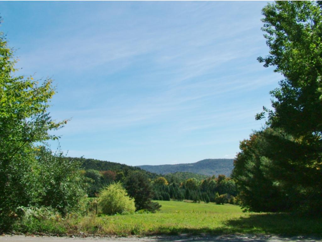 331 Timson Hill Road Newfane, VT 05345 - Photo 28 of 30