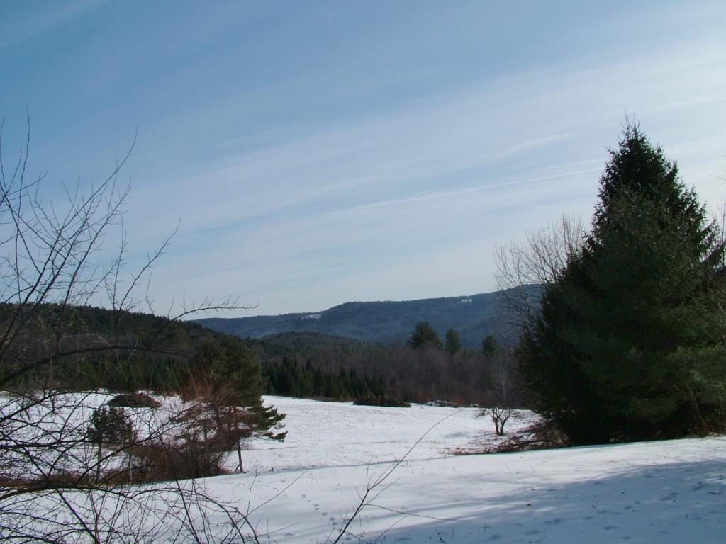 331 Timson Hill Road Newfane, VT 05345 - Photo 29 of 30